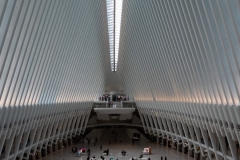 oculus