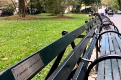 banco-en-central-park