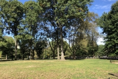 zona-en-central-park