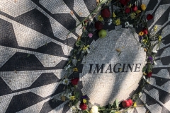 imagine