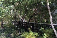 the-high-line