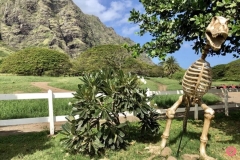 Jurassic Park en Kualoa Ranch