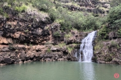 waimea-falls