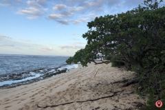 mokuleia-beach-2
