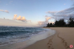mokuleia-beach-4