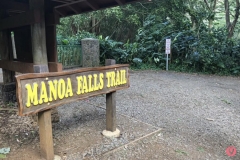 manoa-falls-trail