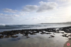 turtle-bay-resort
