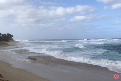 pupukea-beach