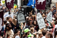 manifestacion-global-warming