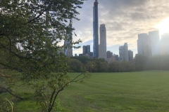 rascacielos-desde-central-park