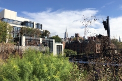 the-high-line-y-empire-state